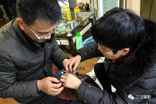 CC宝,湖南野生动物追踪,湖南卫星追踪器,湖南追踪器