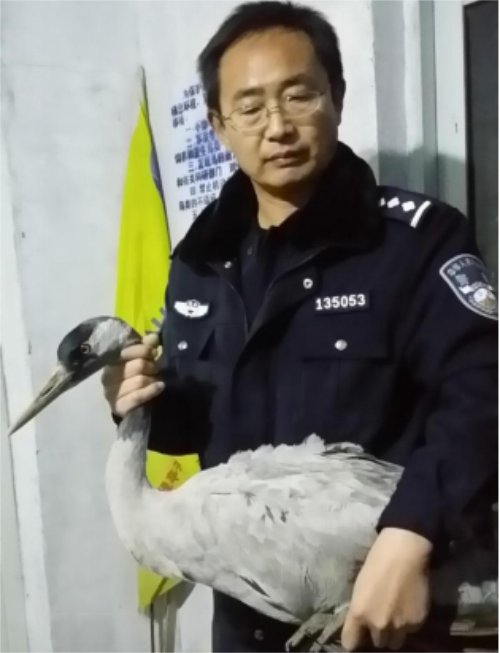 CC宝,湖南野生动物追踪,湖南卫星追踪器,湖南追踪器