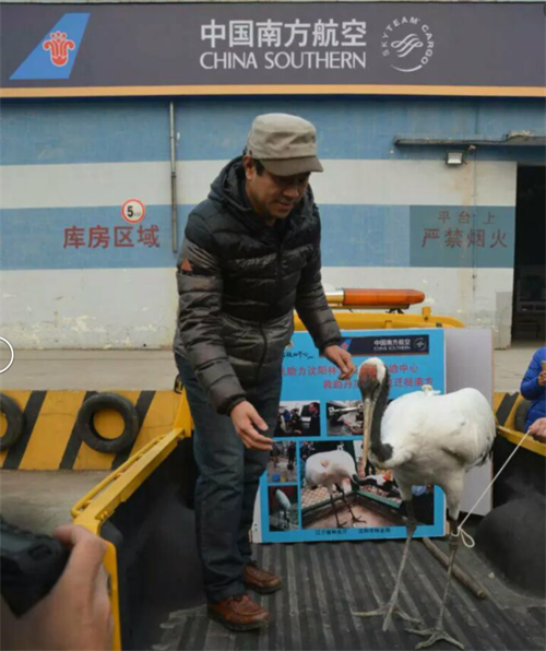 CC宝,湖南野生动物追踪,湖南卫星追踪器,湖南追踪器