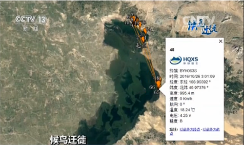 CC宝,湖南野生动物追踪,湖南卫星追踪器,湖南追踪器