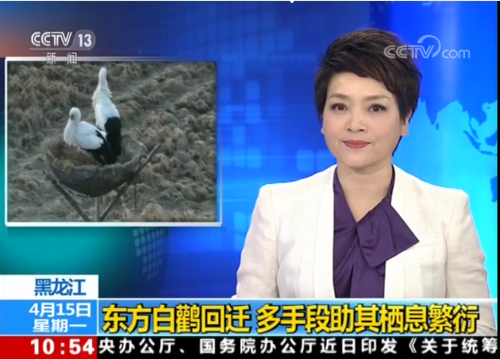 CC宝,湖南野生动物追踪,湖南卫星追踪器,湖南追踪器