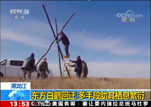 CC宝,湖南野生动物追踪,湖南卫星追踪器,湖南追踪器