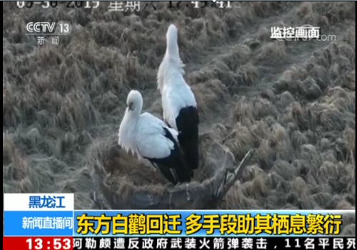 CC宝,湖南野生动物追踪,湖南卫星追踪器,湖南追踪器