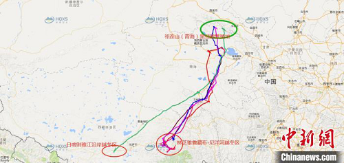 CC宝,湖南野生动物追踪,湖南卫星追踪器,湖南追踪器
