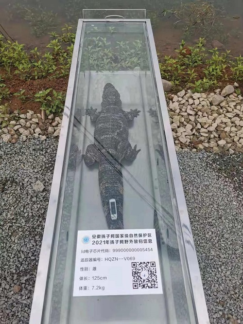 CC宝,湖南野生动物追踪,湖南卫星追踪器,湖南追踪器