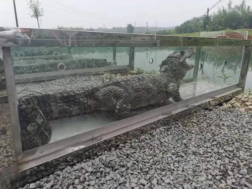 CC宝,湖南野生动物追踪,湖南卫星追踪器,湖南追踪器