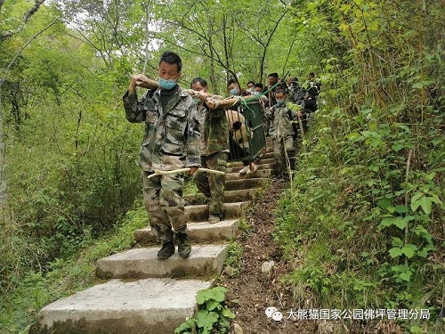 CC宝,湖南野生动物追踪,湖南卫星追踪器,湖南追踪器