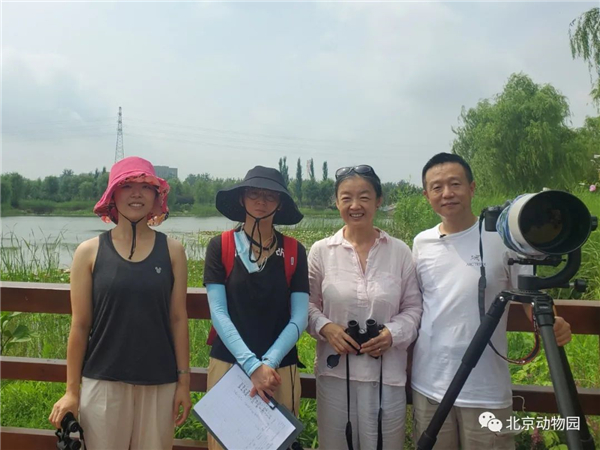 CC宝,湖南野生动物追踪,湖南卫星追踪器,湖南追踪器