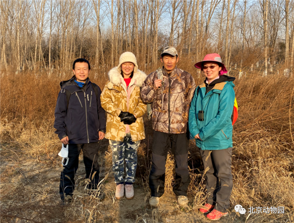CC宝,湖南野生动物追踪,湖南卫星追踪器,湖南追踪器
