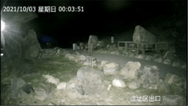 CC宝,湖南野生动物追踪,湖南卫星追踪器,湖南追踪器