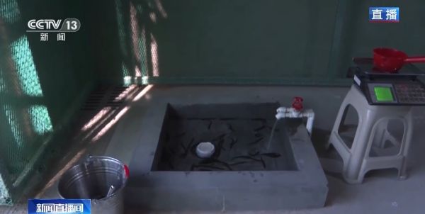 CC宝,湖南野生动物追踪,湖南卫星追踪器,湖南追踪器